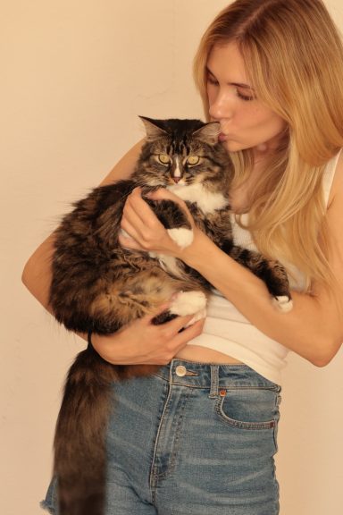 Harmonisches Katzenportrait mit Wildehummelfotografie. Frau hält schöne Katze auf den Arm und gibt ihr einen Kuss.