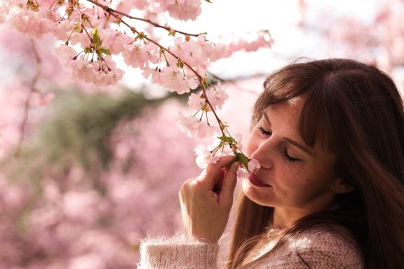 Kirschblüten Shooting
